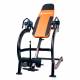 Banca Fitness de inversie inSPORTline inverso Profi