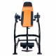 Banca Fitness de inversie inSPORTline inverso Profi