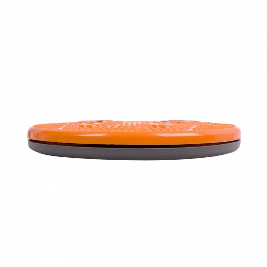Disc magnetic inSPORTlinе Rotana Disc magnetic inSPORTlinе Rotana