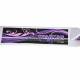 Trotineta Spartan XC 145 Trotineta Spartan XC 145