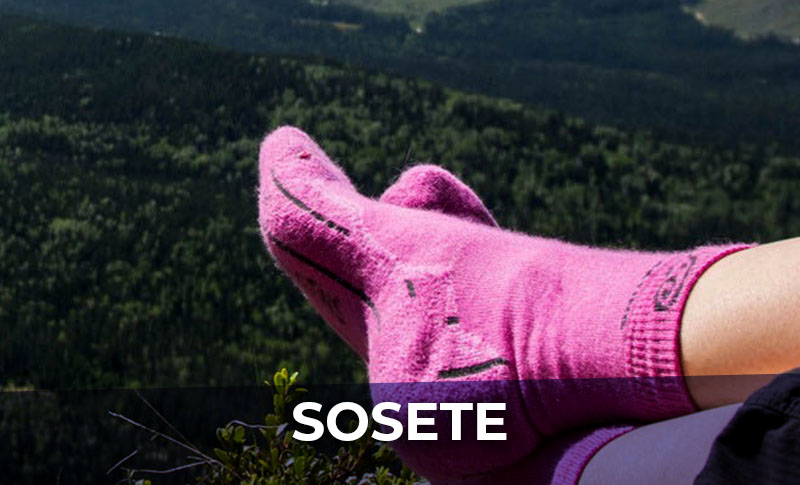 Sosete