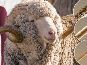 Ce este important atunci cand alegeti lenjerie termica?