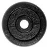 Disc greutate din otel inSPORTline 2,5 kg Disc greutate din otel inSPORTline 2,5 kg
