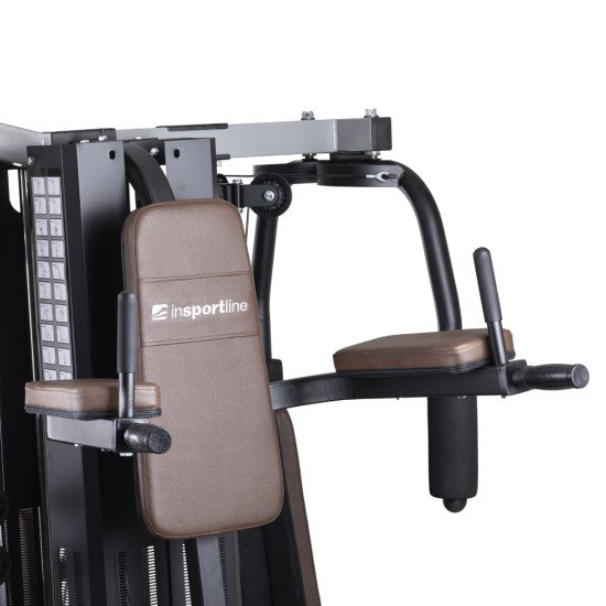 Gladiator de fitness inSPORTline Profigym C300