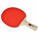 Paleta tenis de masa JOOLA Beat Paleta tenis de masa JOOLA Beat