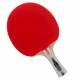 Paleta tenis de masa JOOLA Rosskoph Action Paleta tenis de masa JOOLA Rosskoph Action