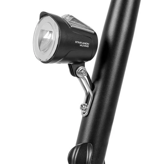 Trotineta electrica W-TEC Billar III 500W 12