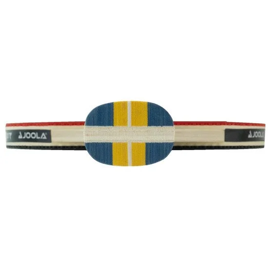Paleta tenis de masa JOOLA Team Germany Premium Paleta tenis de masa JOOLA Team Germany Premium