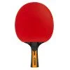 Paleta tenis de masa JOOLA Carbon Control Paleta tenis de masa JOOLA Carbon Control