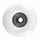 Roti pentru skateboard cu rulmenti WORKER 50 x 36 mm Roti pentru skateboard cu rulmenti WORKER 50 x 36 mm