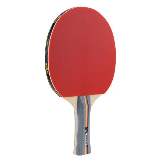 Set pentru tenis de masa JOOLA Team School