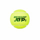 Mingi pentru tenis de camp DUNLOP ATP Tour