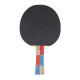 Paleta de tenis inSPORTline Shootfair S7