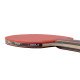 Paleta pentru tenis de masa JOOLA Match Pro Paleta pentru tenis de masa JOOLA Match Pro