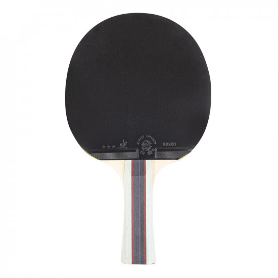 Paleta de tenis de masa inSPORTline Shootfair S3