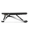 Banca Fitness reglabila inSPORTline AB150