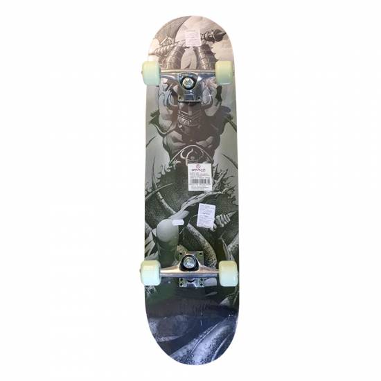 Skateboard SPARTAN Ground Control 31