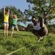 Slackline GIBBON Classic Line X13 Tree Pro Set, 15m Slackline GIBBON Classic Line X13 Tree Pro Set, 15m