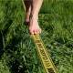 Slackline GIBBON Classic Line X13 Tree Pro Set, 15m Slackline GIBBON Classic Line X13 Tree Pro Set, 15m