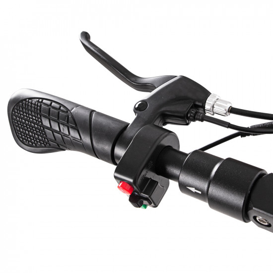 Trotineta electrica cu scaun W-TEC Zitter II 10 Trotineta electrica cu scaun W-TEC Zitter II 10