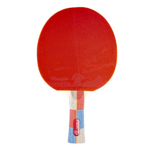 Paleta de tenis inSPORTline Shootfair S7 Paleta de tenis inSPORTline Shootfair S7