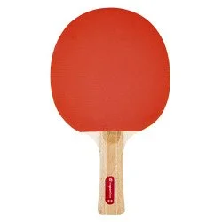 Paleta pentru tenis de masa inSPORTline Shootfair S2
