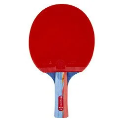 Paleta pentru tenis de masa inSPORTline Shootfair S5