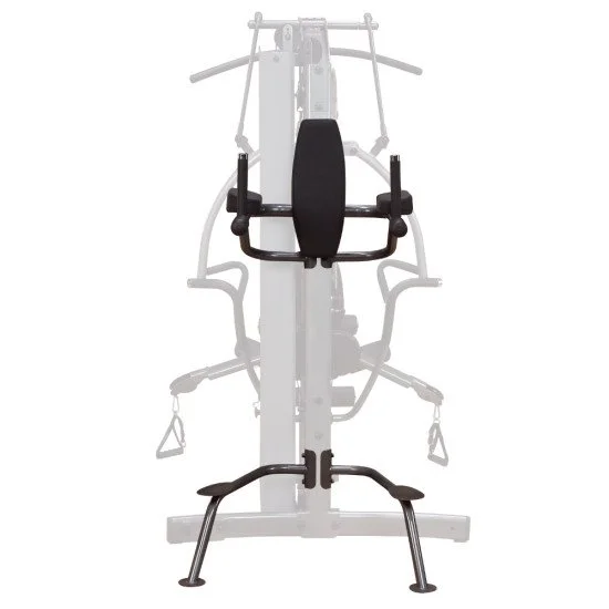 Accesoriu FKR knee raiser Body Solid pentru FUSION
