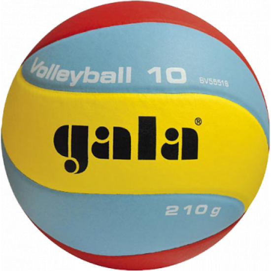 Волейболна топка GALA BV 5551 S