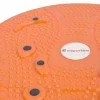 Disc magnetic inSPORTlinе Rotana Disc magnetic inSPORTlinе Rotana