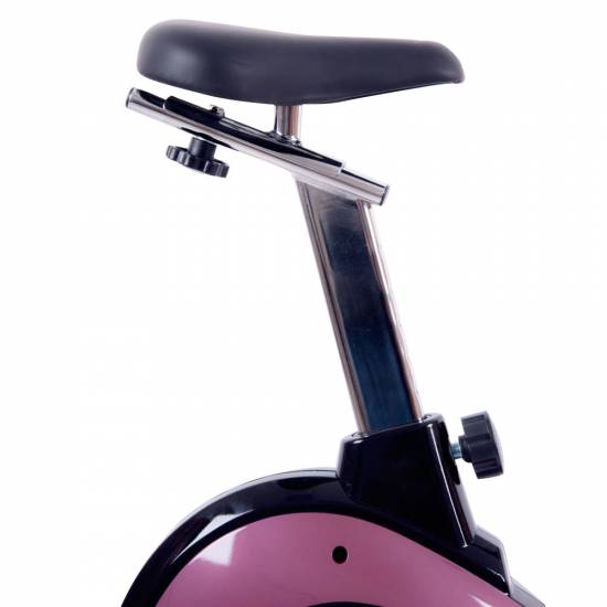 Bicicleta Fitness Ergometrica inSPORTline Klegan