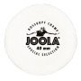 Mingi tenis de masa JOOLA Rosskopf Champ