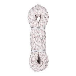 Cordelina BEAL Antipodes 11.5 mm