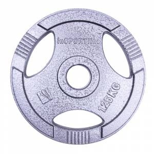 Disc greutate din fonta inSPORTline Hamerton 1,25 kg Disc greutate din fonta inSPORTline Hamerton 1,25 kg