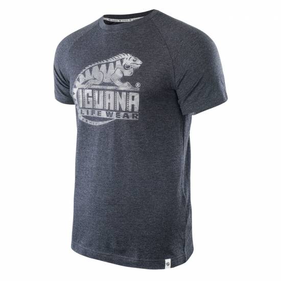 Tricou barbati IGUANA Baako, Gri