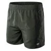Pantaloni scurti AQUAWAVE APELI, Iron