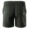 Pantaloni scurti AQUAWAVE APELI, Iron