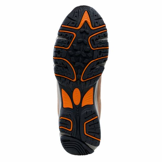 Pantofi trekking dama HI-TEC Beston Wos Maro