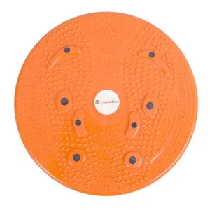 Disc magnetic inSPORTlinе Rotana
