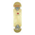 Skateboard SPARTAN Top board 31