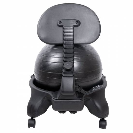 Scaun cu minge inSPORTline G-Chair