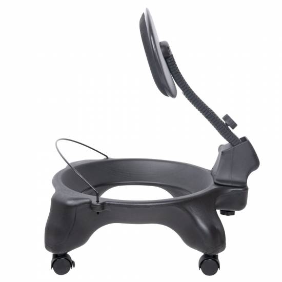 Scaun cu minge inSPORTline G-Chair