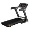 Treadmill inSPORTline Gardian G6 Treadmill inSPORTline Gardian G6