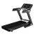 Treadmill inSPORTline Gardian G6 Treadmill inSPORTline Gardian G6