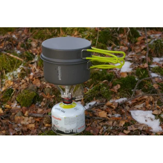 Set vase voiaj aluminiu PINGUIN Quadri