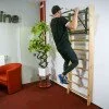 Wall bar inSPORTline Dremar 230 x 90 cm Wall bar inSPORTline Dremar 230 x 90 cm