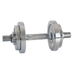 Gantera cromata inSPORTline 10 kg