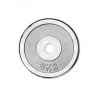 Discuri greutati set cromate SPARTAN 2 x 5 kg/30 mm Discuri greutati set cromate SPARTAN 2 x 5 kg/30 mm